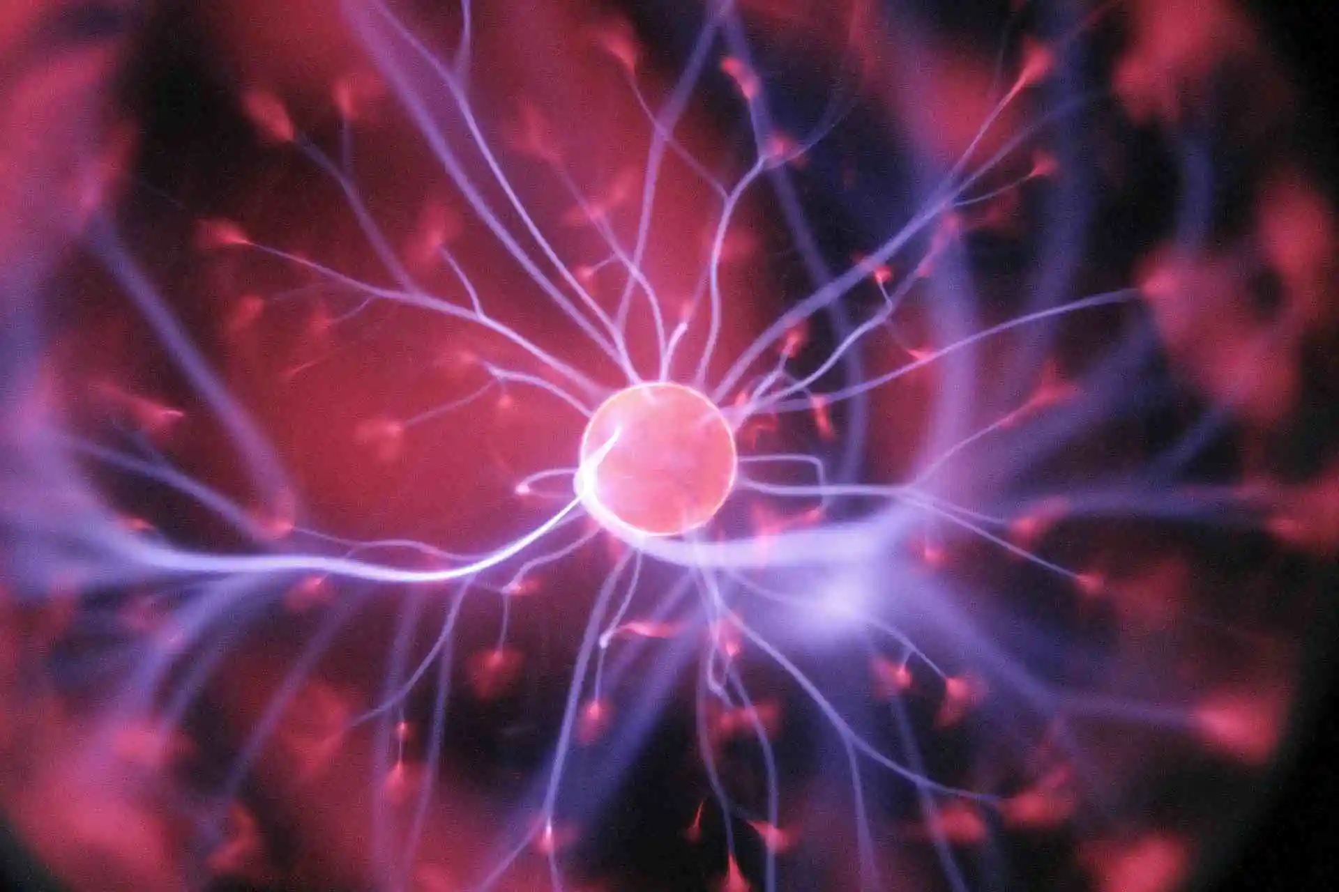Liam Fedus Open AI Exec. To Found Materials Science Startup