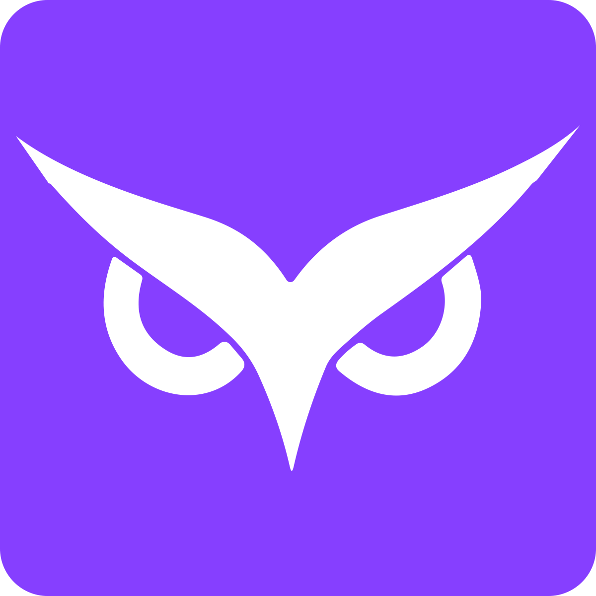 Owlity